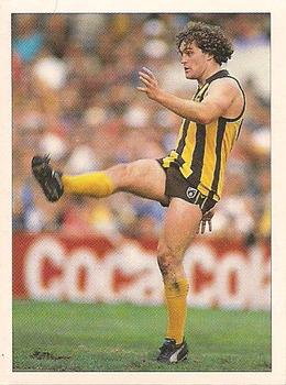 1992 Select AFL Stickers #146 Ben Allan Front
